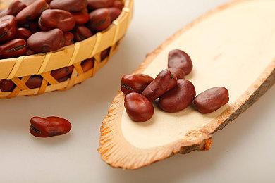 《无光之海》开发商新作《玫瑰面具》Steam推出试玩